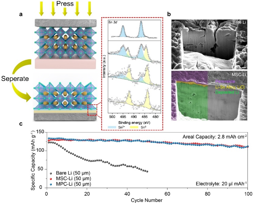 中國科大等在金屬鹵化物鈣鈦礦導(dǎo)鋰層穩(wěn)定鋰電池方面取得進展 中國科大等在金屬鹵化物鈣鈦礦導(dǎo)鋰層穩(wěn)定鋰電池方面取得進展