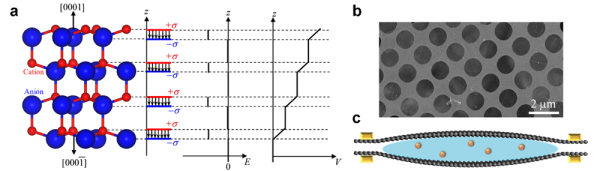 BeO纖鋅礦結構極性原子模型與石墨烯液相反應池