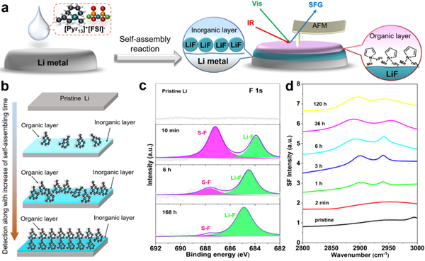 圖2.有序結(jié)構(gòu)SAHL-Li的自組裝演化過(guò)程及其界面有機(jī)、無(wú)機(jī)層的表征