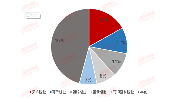 2020年中國碳酸鋰生產企業產量排名情況