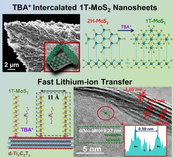 1T-MoS2/d-Ti3C2Tx二維復合納米材料結構示意圖