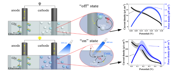 基于碳點和TMB的酶燃料電池光開關的工作原理示意圖