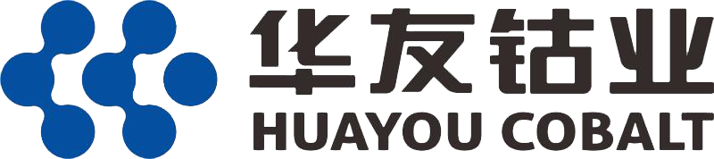 2021年中國(guó)電池行業(yè)優(yōu)秀供應(yīng)商：華友循環(huán)
