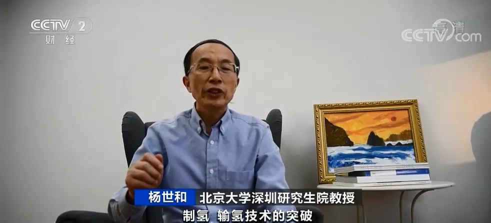 北京大學深圳研究生院教授 楊世和 北京大學深圳研究生院教授 楊世和