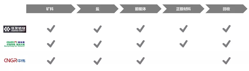 鋰電材料價格普漲環境下，何為企業破局之策？