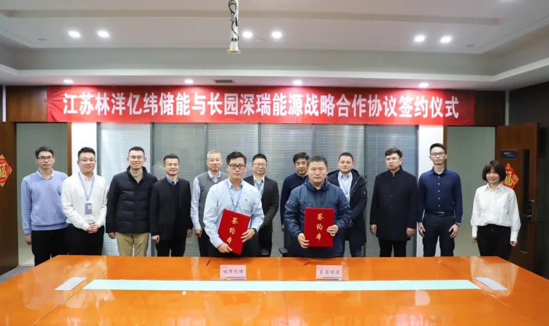 圖片來源:林洋能源 圖片來源:林洋能源