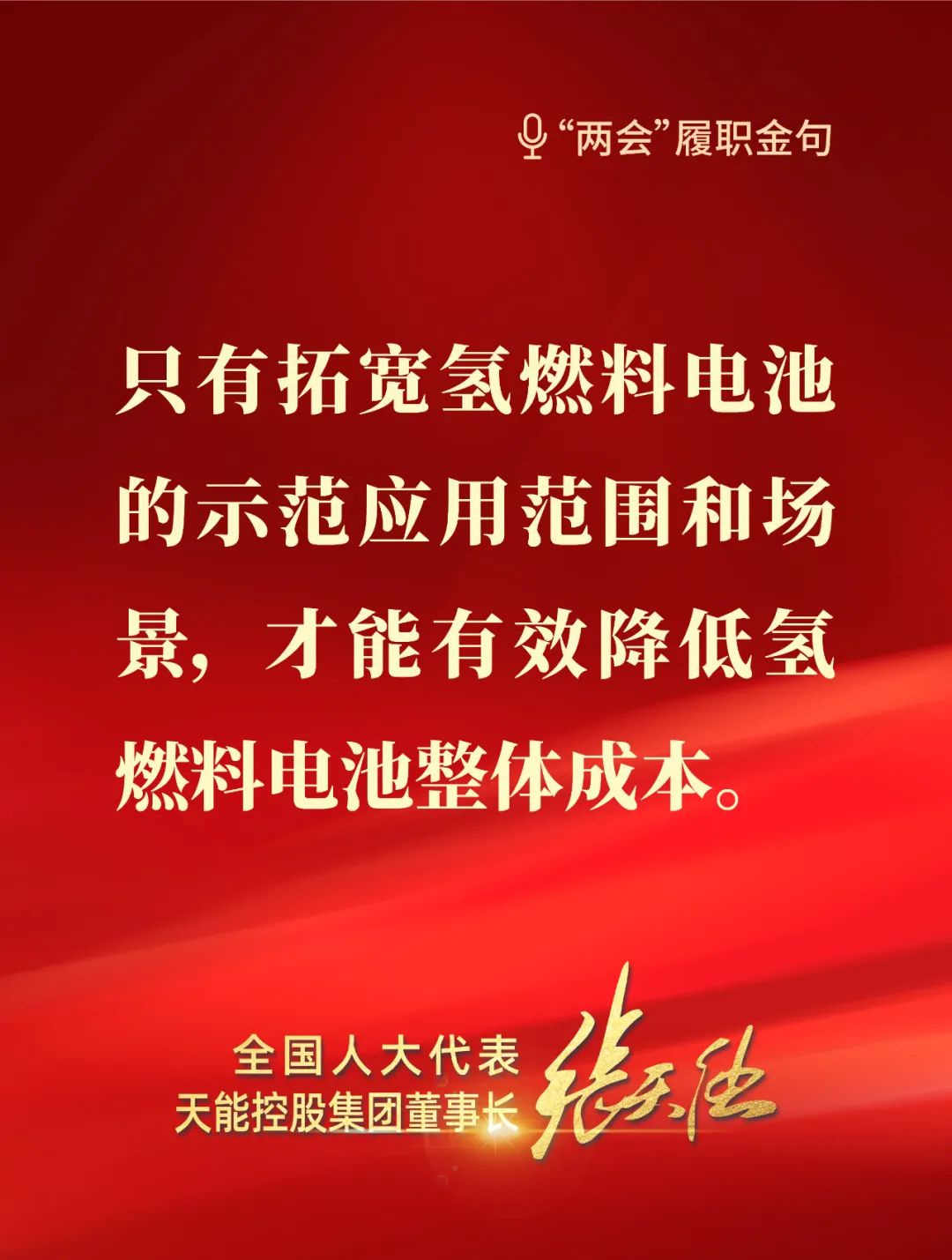 全國人大代表，天能控股集團董事長張天任