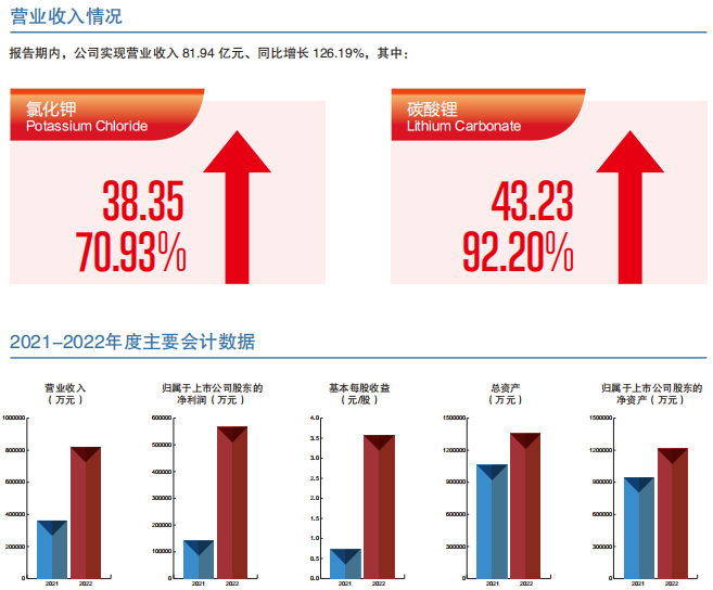 藏格礦業 藏格礦業