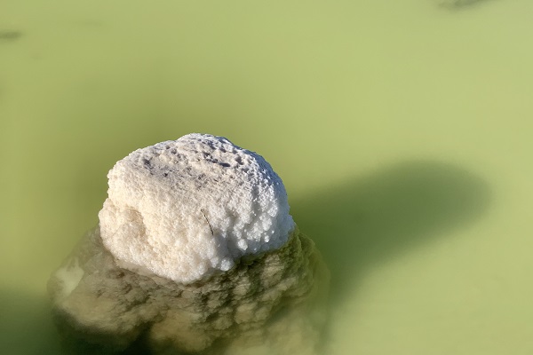 青海察爾汗鹽湖