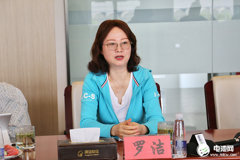 中國電池新能源產(chǎn)業(yè)鏈調(diào)研團一行參觀考察騰遠鈷業(yè) 中國電池新能源產(chǎn)業(yè)鏈調(diào)研團一行參觀考察騰遠鈷業(yè)