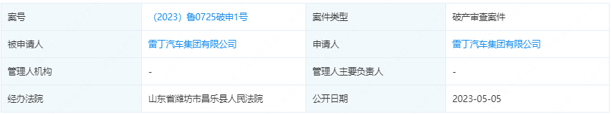 雷丁汽車集團有限公司 雷丁汽車集團有限公司