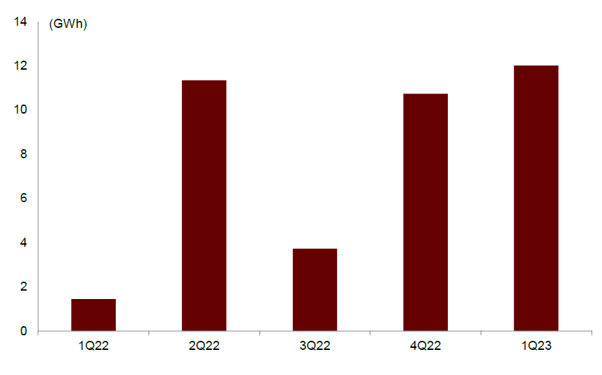 圖表24：一帶一路國家新增項目容量