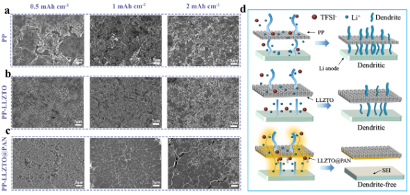 循環(huán)后負(fù)極形貌對比及調(diào)控鋰沉積示意圖 循環(huán)后負(fù)極形貌對比及調(diào)控鋰沉積示意圖