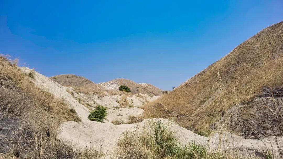 圖/紫金礦業(yè)