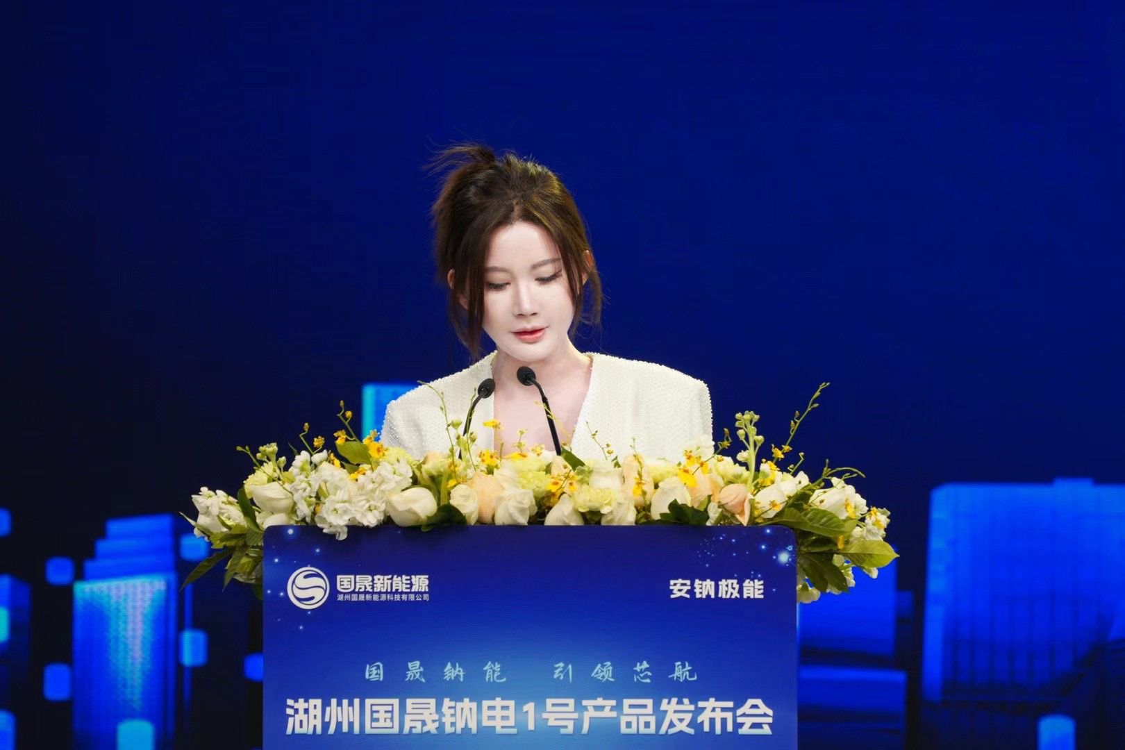 湖州國(guó)晟新能源董事長(zhǎng)李昕