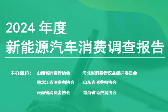 2024年度新能源汽車消費(fèi)調(diào)查：15萬元以下的價(jià)格更受青睞