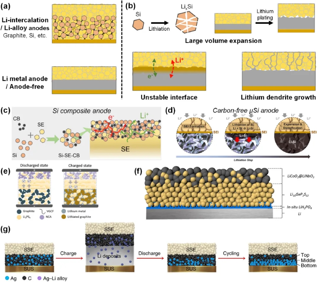 圖5 硫化物基ASSB高比容負極存在的問題及最新進展。