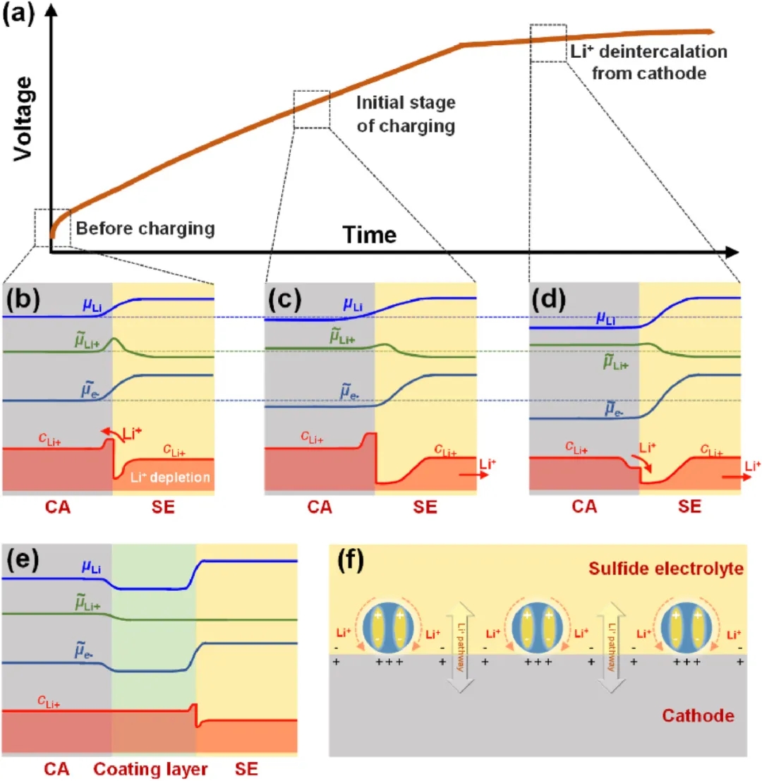圖6 正極（CA）|SE界面空間電荷層的演化及解決方案。