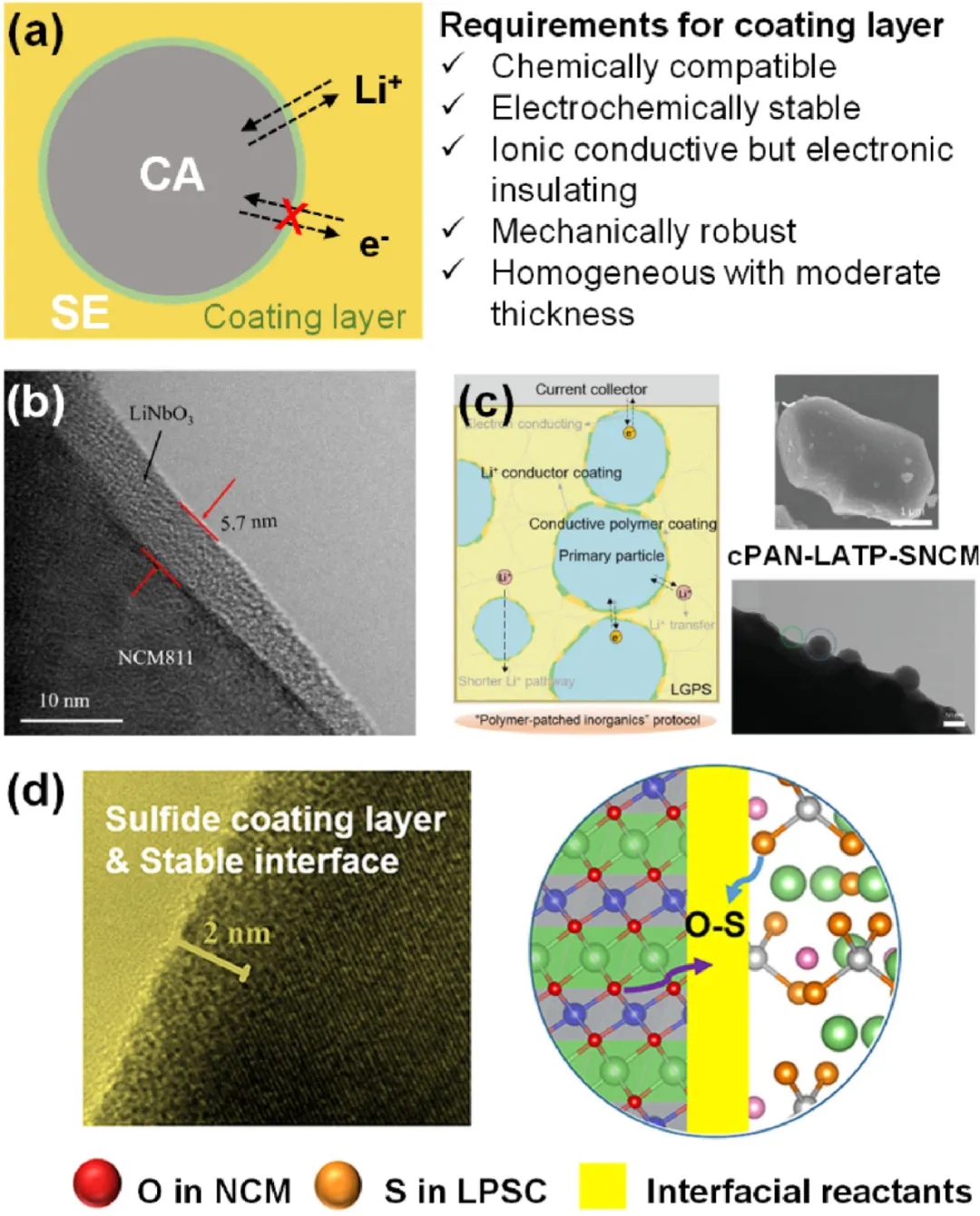 圖8 抑制界面副反應的界面工程。
