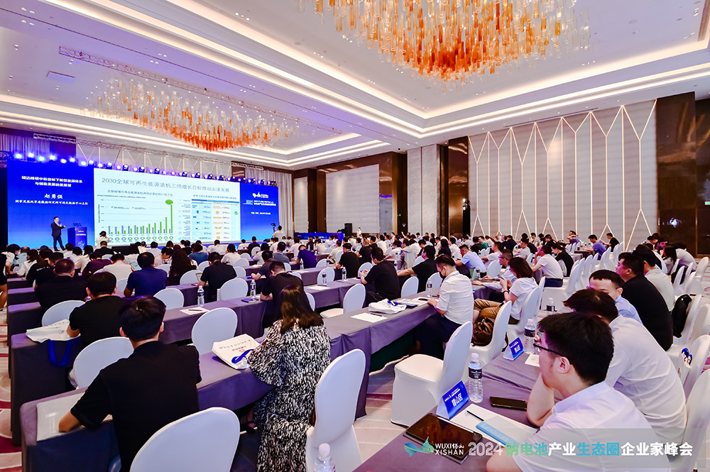 2024中國（無錫）鈉電池產業(yè)生態(tài)圈企業(yè)家峰會現場
