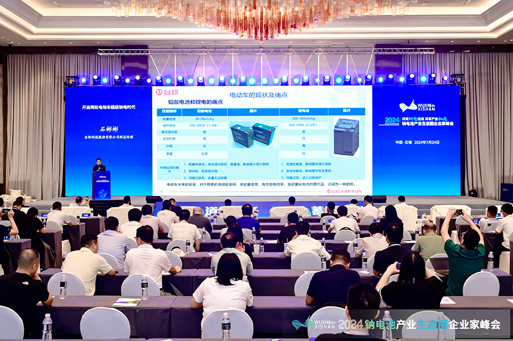 2024中國（無錫）鈉電池產業(yè)生態(tài)圈企業(yè)家峰會現場