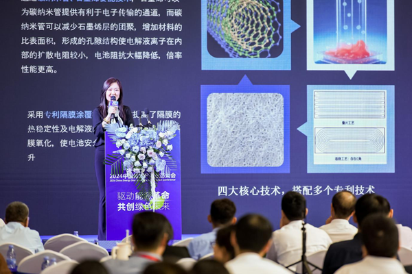 邢東鋰電副總經理兼國際業務總裁 李佳 邢東鋰電副總經理兼國際業務總裁 李佳