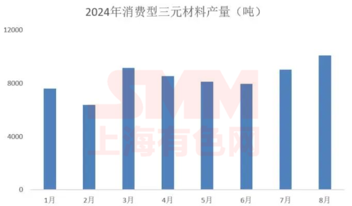 量價(jià)背離！2024下半年三元小動(dòng)力市場分析