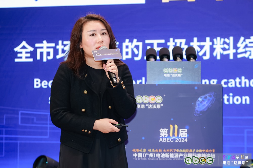 廣州鵬輝能源科技股份有限公司研究院院長李紓黎 廣州鵬輝能源科技股份有限公司研究院院長李紓黎