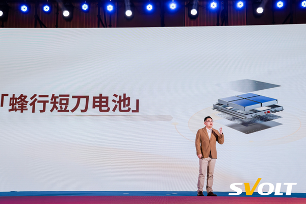 蜂巢能源,動力電池,鋰電池,儲能電池