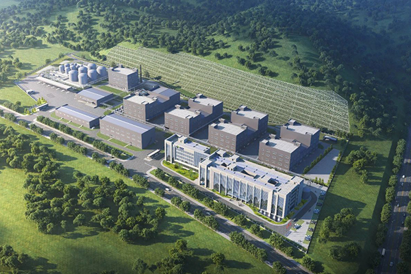 圖片來(lái)源：大亞灣發(fā)布