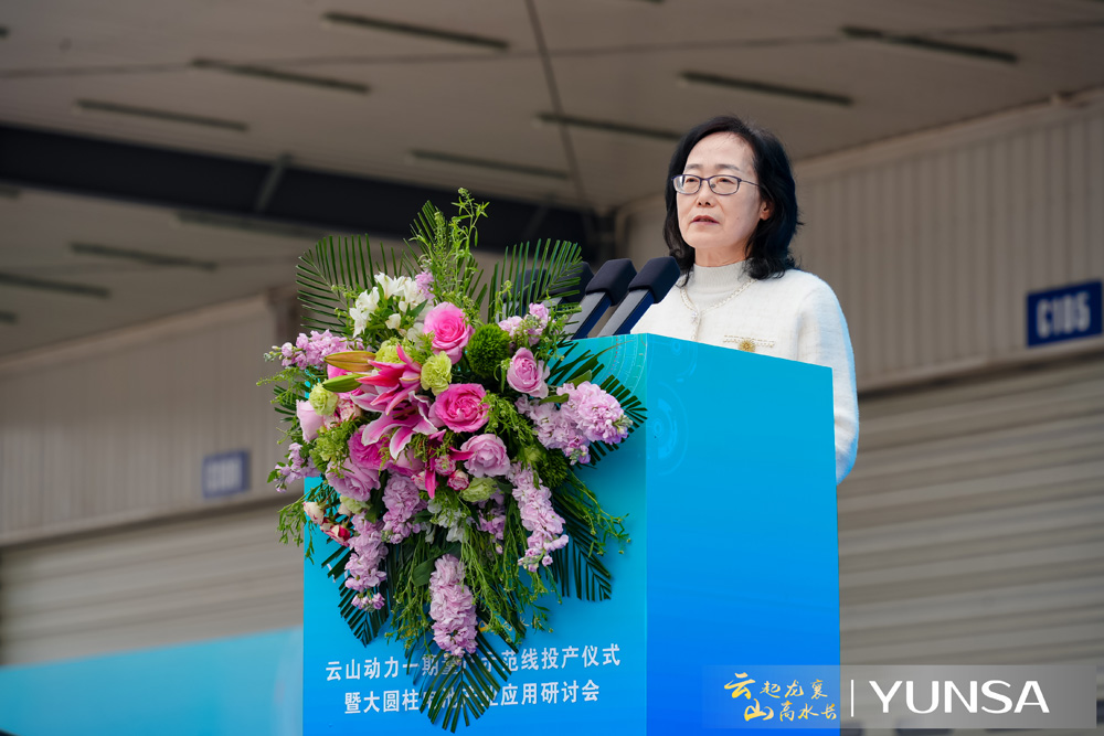 中國汽車動力電池產業創新聯盟 秘書長許艷華